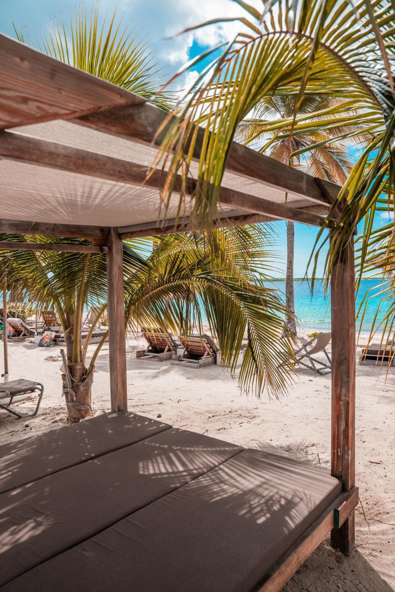 Chogogo Dive & Beach Resort Bonaire クラレンダイク エクステリア 写真