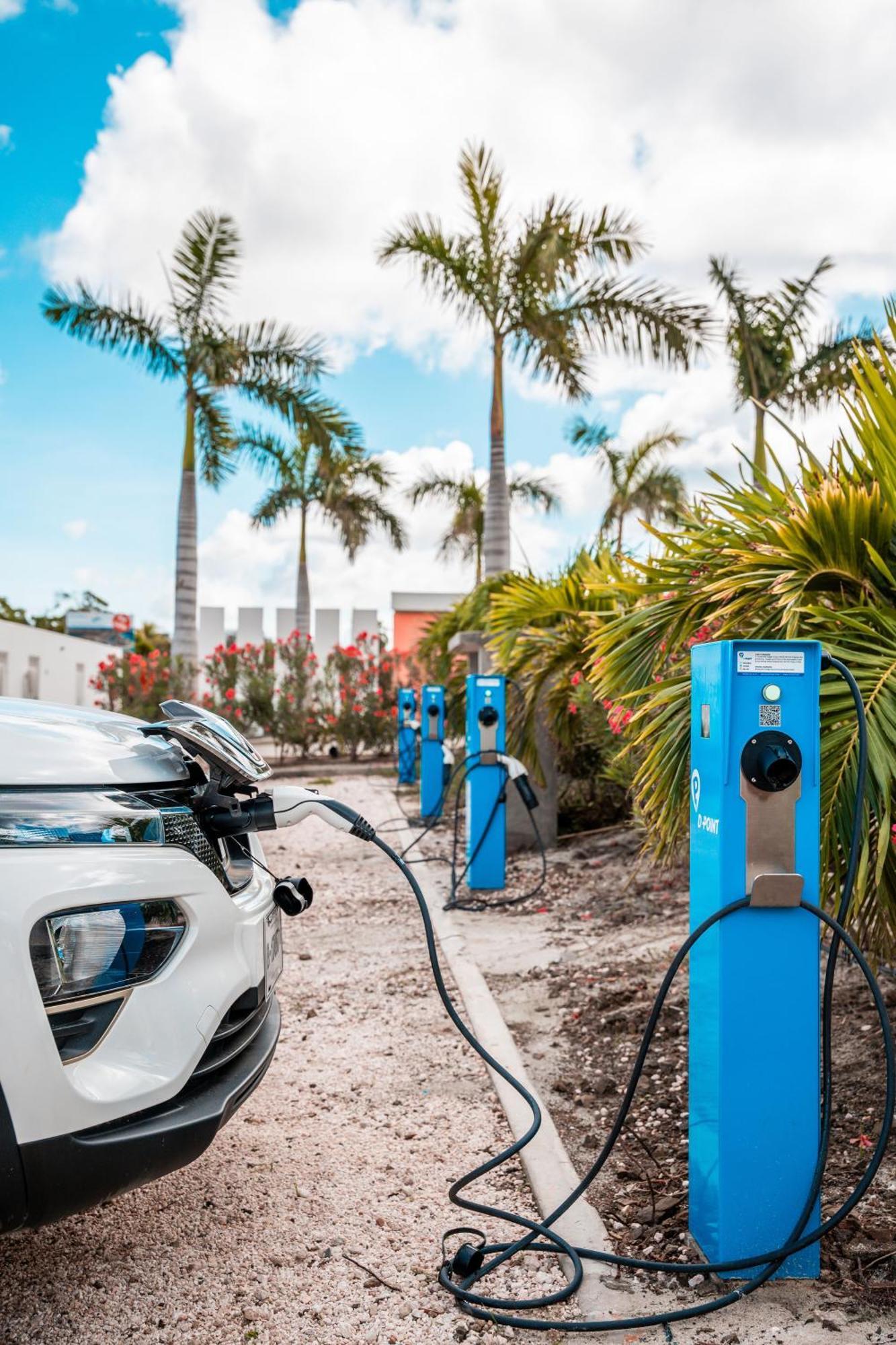 Chogogo Dive & Beach Resort Bonaire クラレンダイク エクステリア 写真