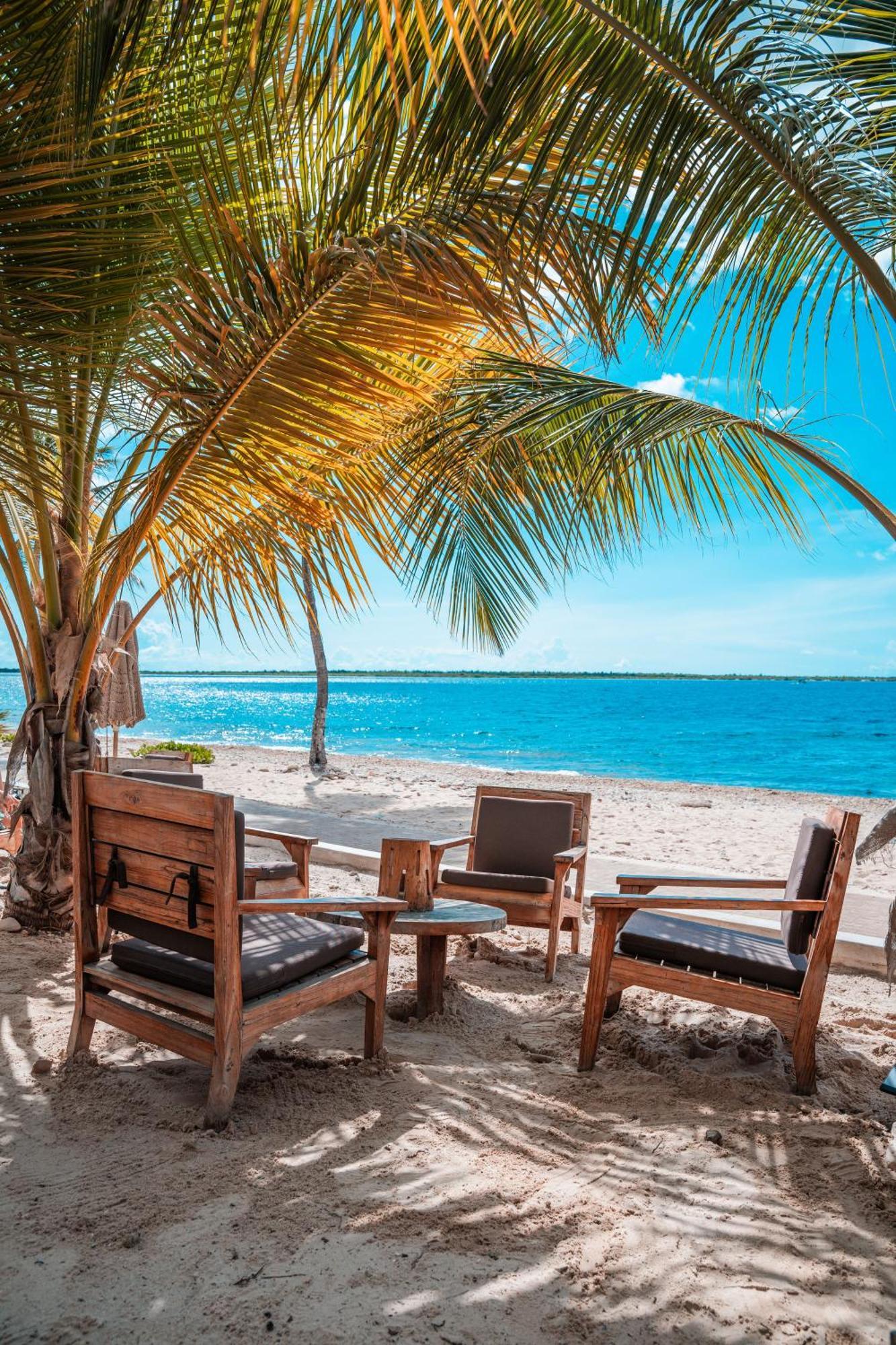 Chogogo Dive & Beach Resort Bonaire クラレンダイク エクステリア 写真